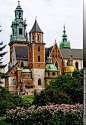 Gothic Wawel Castle
波兰