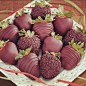 草莓和巧克力是绝配   inschocolategrid