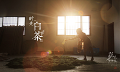 PEYJI采集到玩味寻茶记