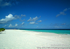 Csl2903采集到马尔代夫的沙滩 大海 