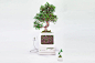 Old Apple Products Turned into Plants