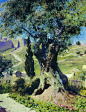 Vasily Polenov-