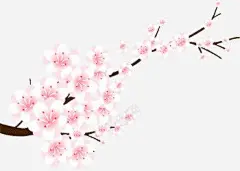 手绘梅花