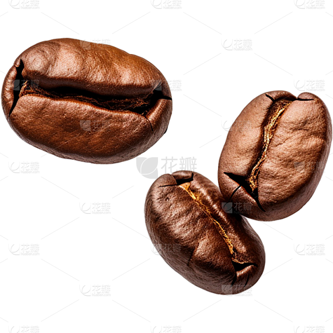 咖啡豆png免抠元素素材