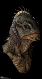 Aquatic Creature (Real Time)