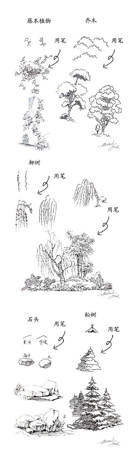 【一学就会，植物手绘速写20种技法】在最...