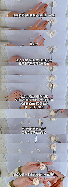 喵(=^･ｪ･^=)~采集到笔记 韩式裱花