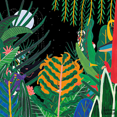 Sep柚采集到插画植物和景物