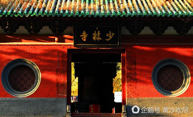 【美景】少林寺内1500岁银杏树“黄发飘...
