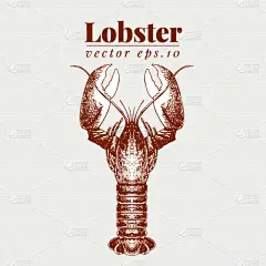 海产,龙虾,自然,红色,海洋生命,螯虾,食品,图像,复古,装饰