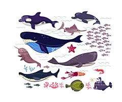 海洋生物合集  - 源文件下载【酷图网】海洋生物合集,矢量海洋生物,卡通海洋生物,手绘海洋生物,海洋生物插画,海洋生物插图,鲸鱼,矢量鲸鱼,卡通鲸鱼,手绘鲸鱼,鲸鱼插画,鲨鱼,矢量鲨鱼,卡通鲨鱼,手绘鲨鱼,鲨鱼插图,鱼群,海豚,矢量海豚,卡通海豚,手绘海豚,海豚插画,对虾,虾,卡通虾,手绘虾,海草,海藻,比目鱼,卡通比目鱼,墨鱼