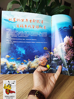 西安嗨设计采集到农化包装品牌设计