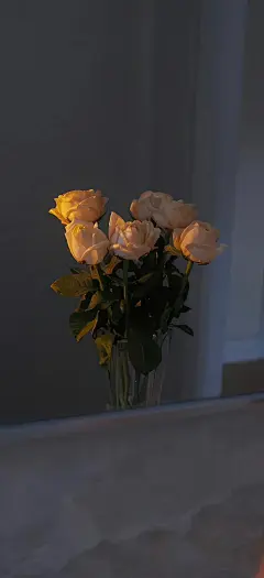 手机壁纸@墨茨收集