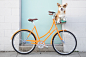 A picture of Geordi La Corgi on a bicycle. 