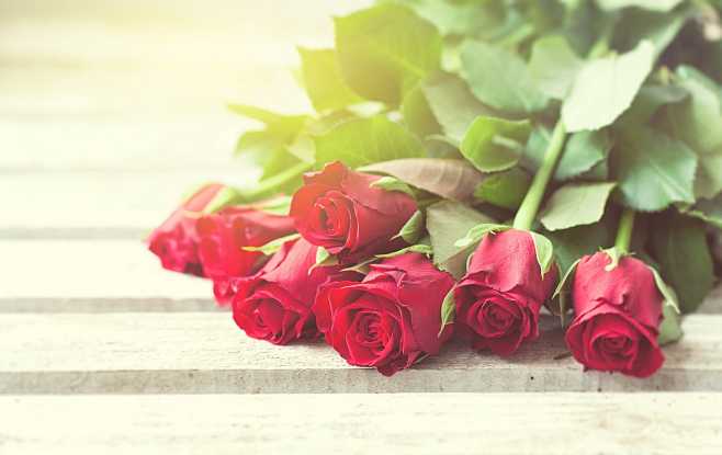 Beautiful red roses ...