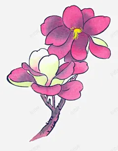 国画花卉高清素材 植物 设计图片 免费下载 页面网页 平面电商 创意素材 png素材