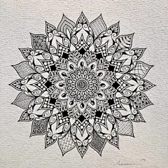 超级细腻的针管笔手绘 ｜ macromicrort ​​​​