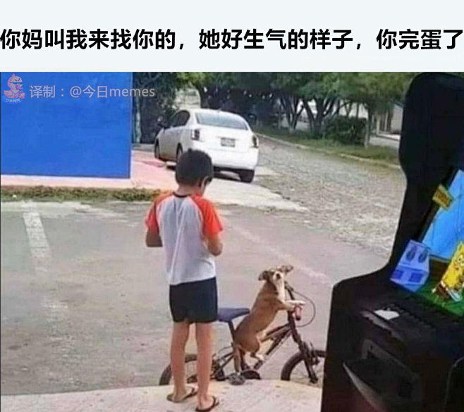 梗图