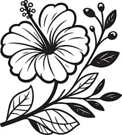 图源免费EPS |手绘芙蓉花 - 简洁线条艺术插画