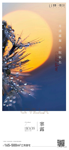 打困哥采集到地产节日/节气稿