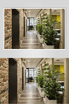 国外办公室装修效果图片