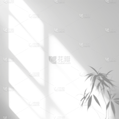 浓情双眼皮儿采集到光影
