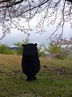 #熊本熊##贱萌表情##熊本熊gif##熊本熊表情包##表情包##熊本熊动态图##萌#
微信公众号：熊本熊可爱萌(xbxkam)
