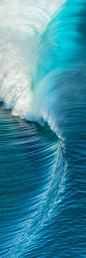 Wave: 