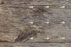 木头 质地 Windows壁纸 笔记本电脑壁纸 免费壁纸 桌面背景