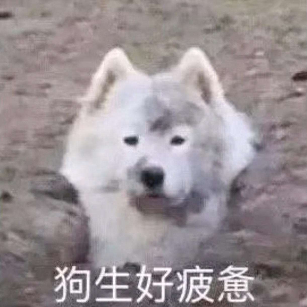 好的收到马上改