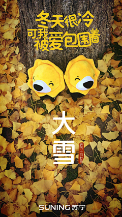 花万里Waylon采集到节气_大雪