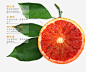 血橙详情页高清素材 橙子 水果详情页 血橙 免抠png 设计图片 免费下载