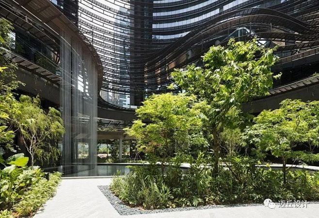 新加坡最新网红建筑景观10款|设计师打卡...