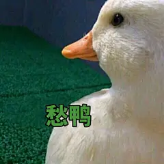 愁鸭表情包