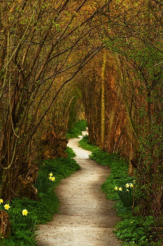 The Winding Path, a ...