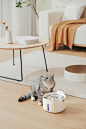 猫猫饮水机-1