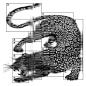 Photo by Alessio Borando on December 16, 2024. 可能是包含下列内容的插图：大猫、雪豹和文字.