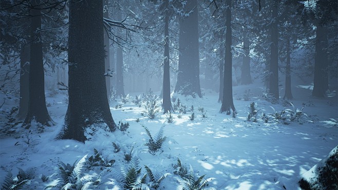 UE4 Conifer Forest, ...