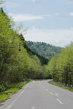 山路,夏天,垂直画幅,天空,贺卡,留白,枝繁叶茂,无人,箭头符号,沥青