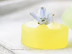 浪漫室内唯美花卉桌面高清壁纸桌面壁纸4