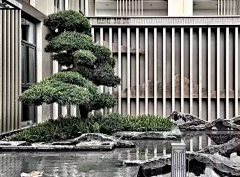 易吱烊采集到屋顶花园