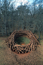 The Clemson Clay Nest  by Nils-Udo was constructed in the botanical gardens at Clemson University in South Carolina in 2005 / wood yeah: 