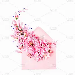 与春天盛开的花朵粉色信封 