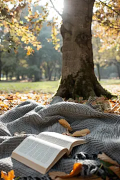 树下阅读秋季自然景观