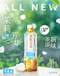 SUNTORY三得利茉莉乌龙茶500ml15瓶整箱无糖0糖0脂茶饮料礼盒装-淘宝网