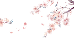 一喵嗷呜采集到背景素材