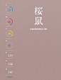 020桵鼠