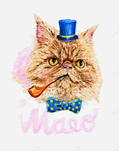 手绘老爷加菲猫插画