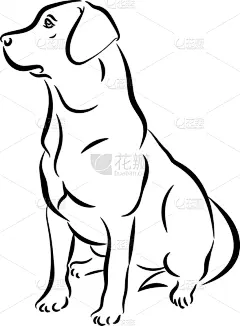 轮廓,黑白图片,拉布拉多犬,分离着色,可爱的,白色,宠物,自然,纯种犬,坐