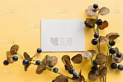 给母亲的贺卡，父母节。美丽的花卉模型与copyspace